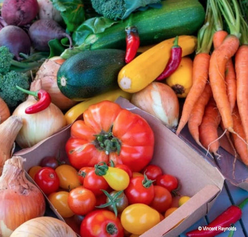 A Summer of Vegetables (Full box of veg Weekly or Bi-weekly)